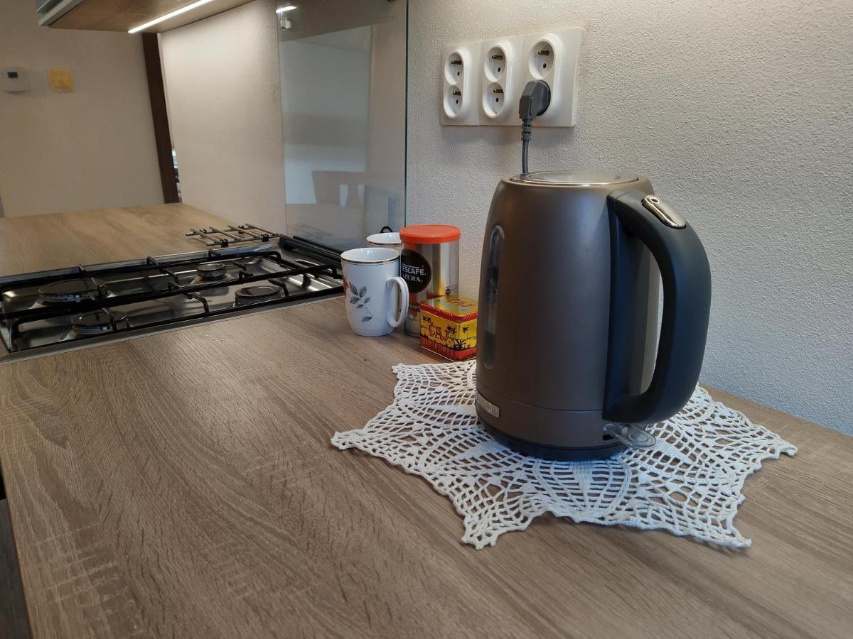 Apartman Banska Bystrica Fortnicka 外观 照片